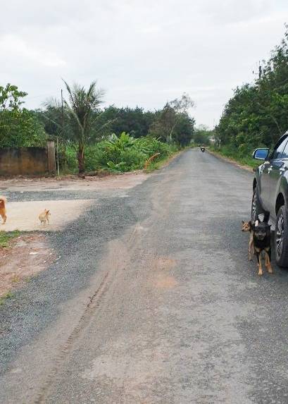 Cần tiền bán gấp trong tháng, giảm sâu lô đất mặt tiền đường nhựa 30m